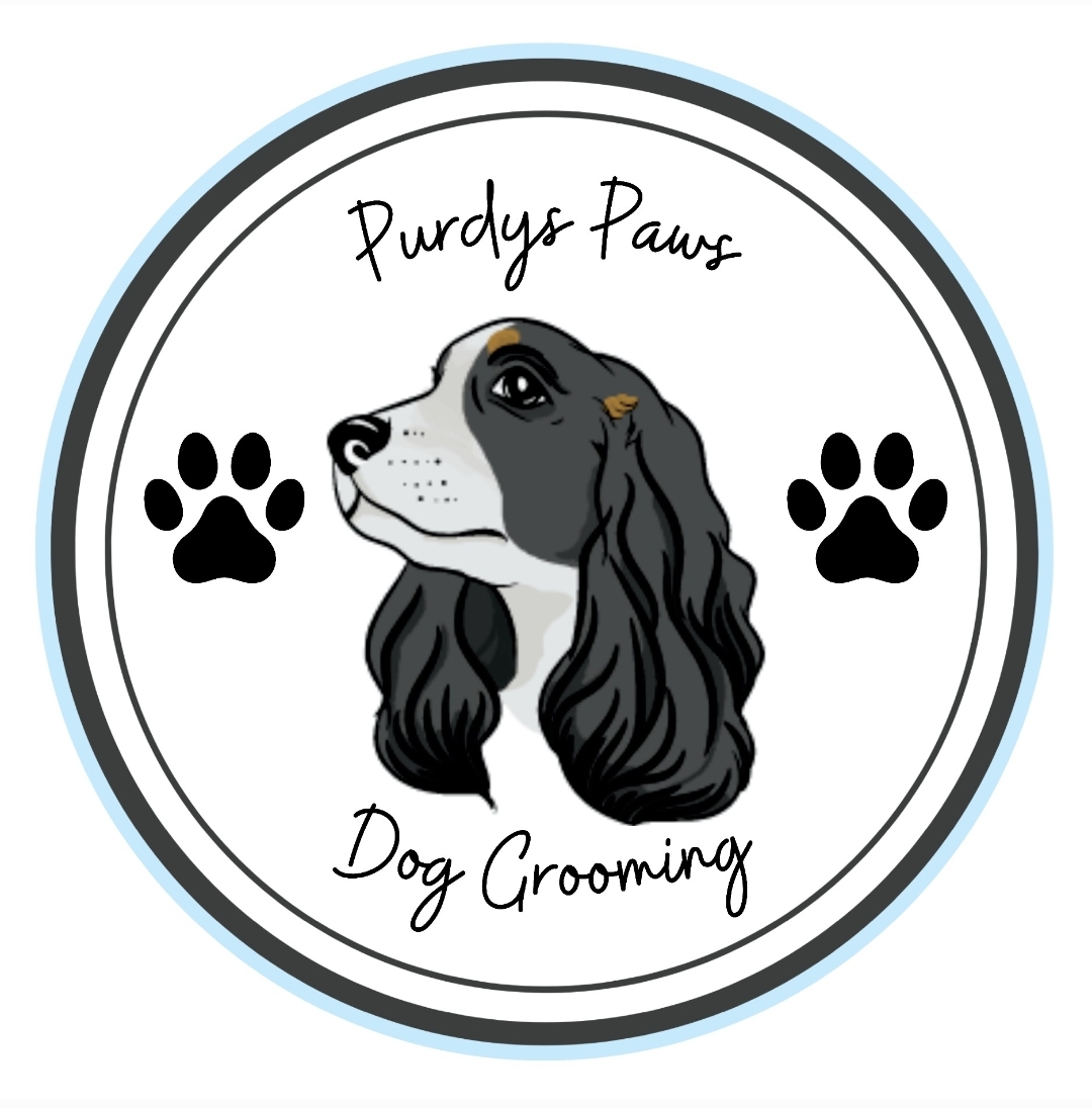 Image of Purdys paws dog grooming service in Blackpool, England, United Kingdom Image of Purdys paws dog grooming service in Blackpool, England, United Kingdom