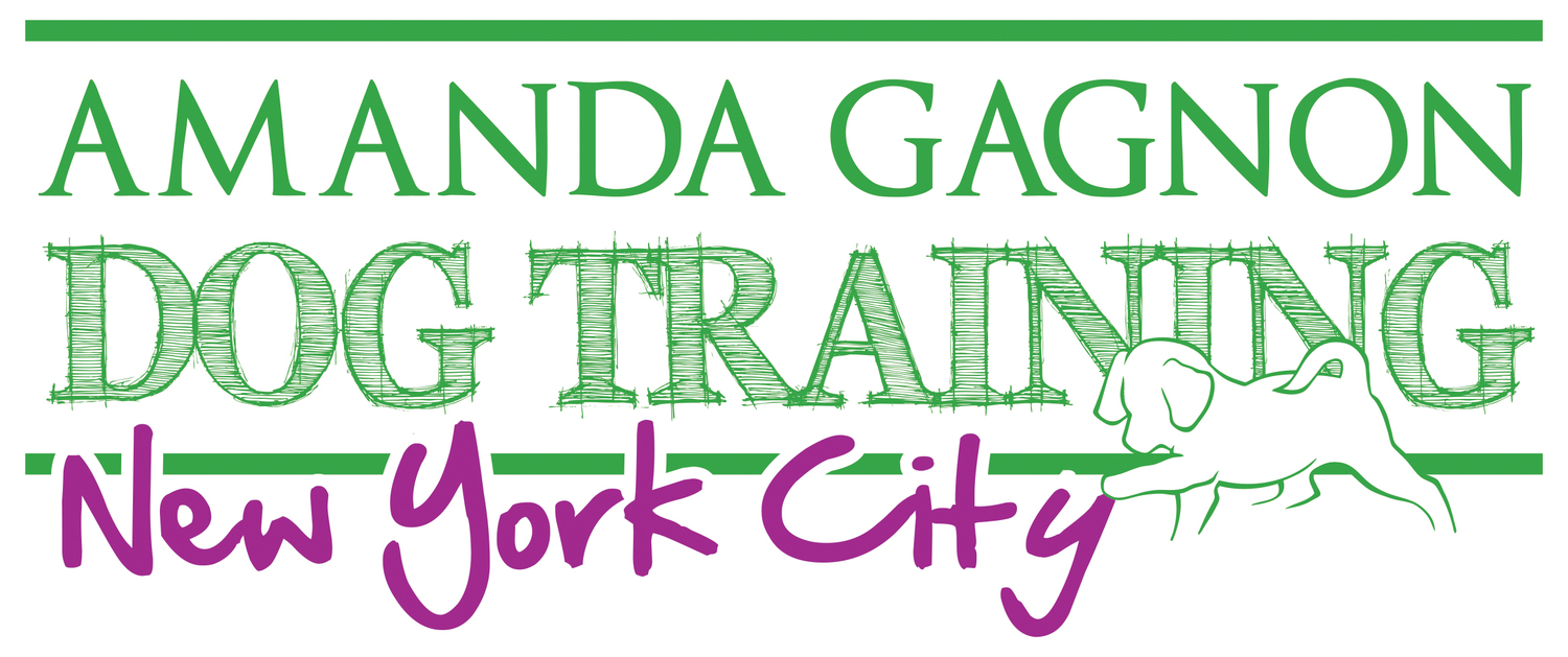 Image of Amanda Gagnon Dog Training -  113th St - New York service in New York, New York, United States Image of Amanda Gagnon Dog Training -  113th St - New York service in New York, New York, United States