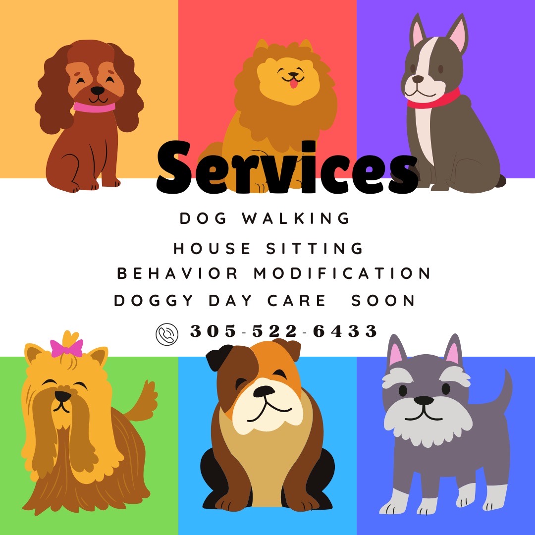Image of Walking Dogs lover service in Hialeah, Florida, United States Image of Walking Dogs lover service in Hialeah, Florida, United States