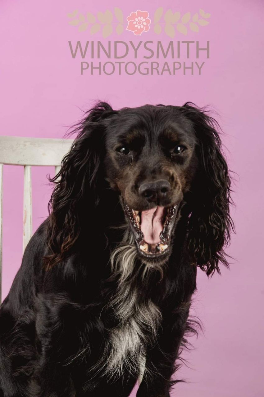 Image of Windysmith Photography service in Bassetlaw, England, United Kingdom Image of Windysmith Photography service in Bassetlaw, England, United Kingdom