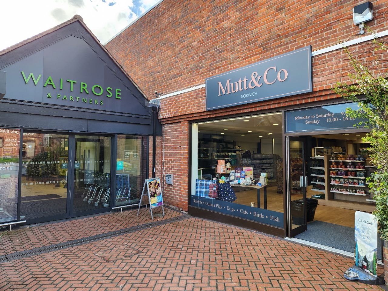 Image of Mutt&Co service in Norwich, Norfolk, United Kingdom Image of Mutt&Co service in Norwich, Norfolk, United Kingdom