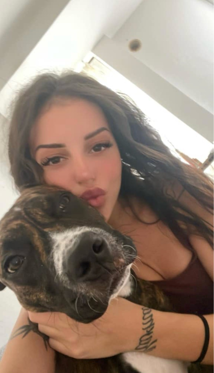 Image of DogSitter service in milan, Lombardy, Italy Image of DogSitter service in milan, Lombardy, Italy