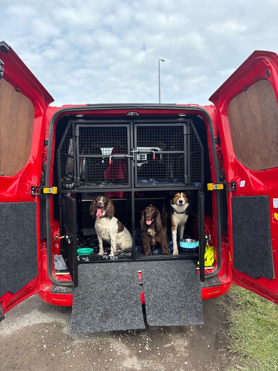 Image of Canine Compass Dog Walking service in South Ribble, England, United Kingdom Image of Canine Compass Dog Walking service in South Ribble, England, United Kingdom