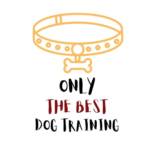 Image of Only The Best Dog Training service in Area F (Alberni Highway), British Columbia, Canada Image of Only The Best Dog Training service in Area F (Alberni Highway), British Columbia, Canada