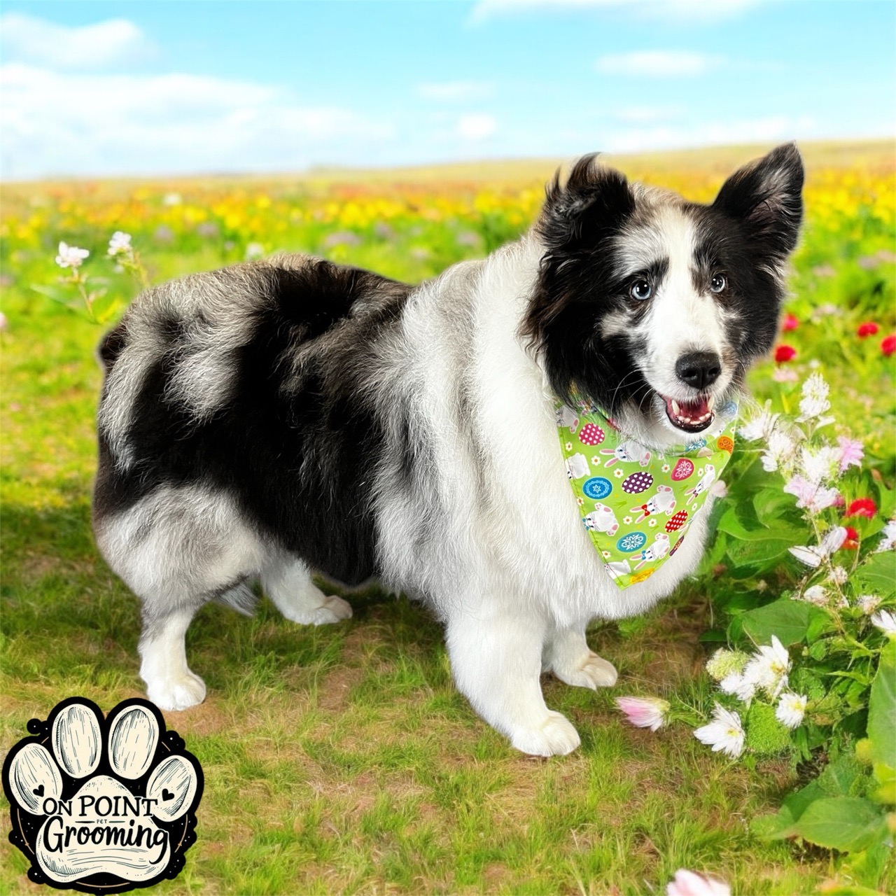 Image of On Point Pet Grooming service in Milton, Florida, United States Image of On Point Pet Grooming service in Milton, Florida, United States