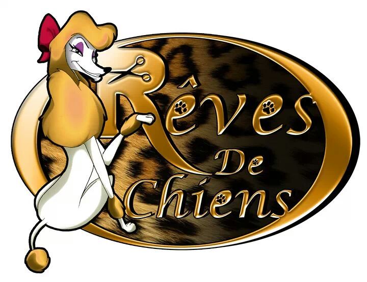 Image of Rêves de chiens service in Sart-à-Rèves, Hainaut, Belgium Image of Rêves de chiens service in Sart-à-Rèves, Hainaut, Belgium