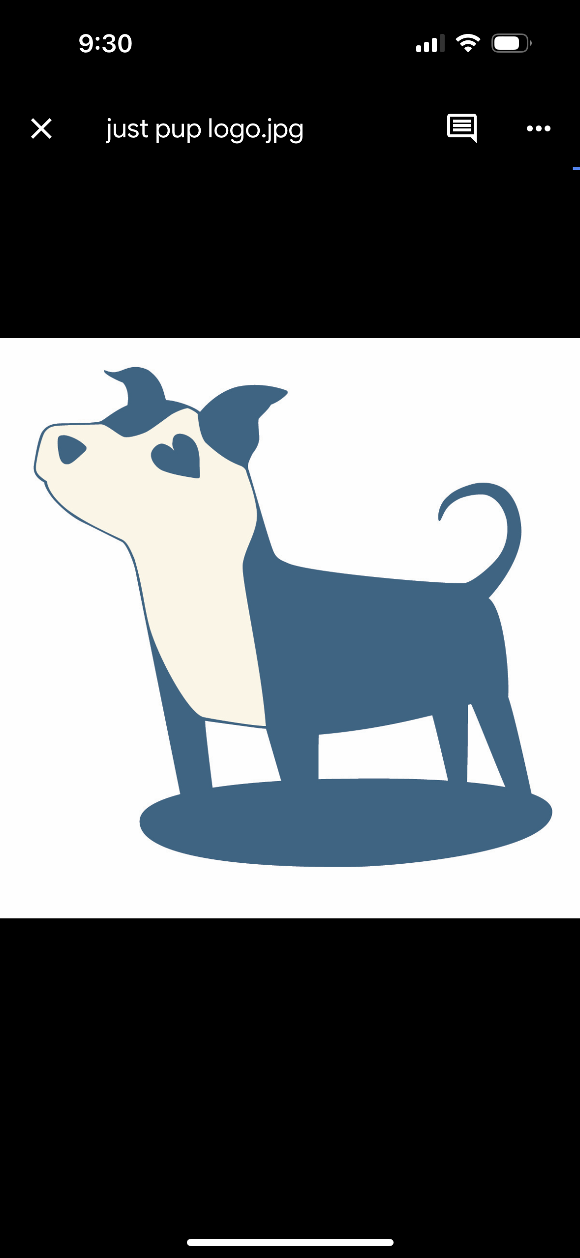 Image of Atta Pup! Training service in Hagerstown, Maryland, United States Image of Atta Pup! Training service in Hagerstown, Maryland, United States