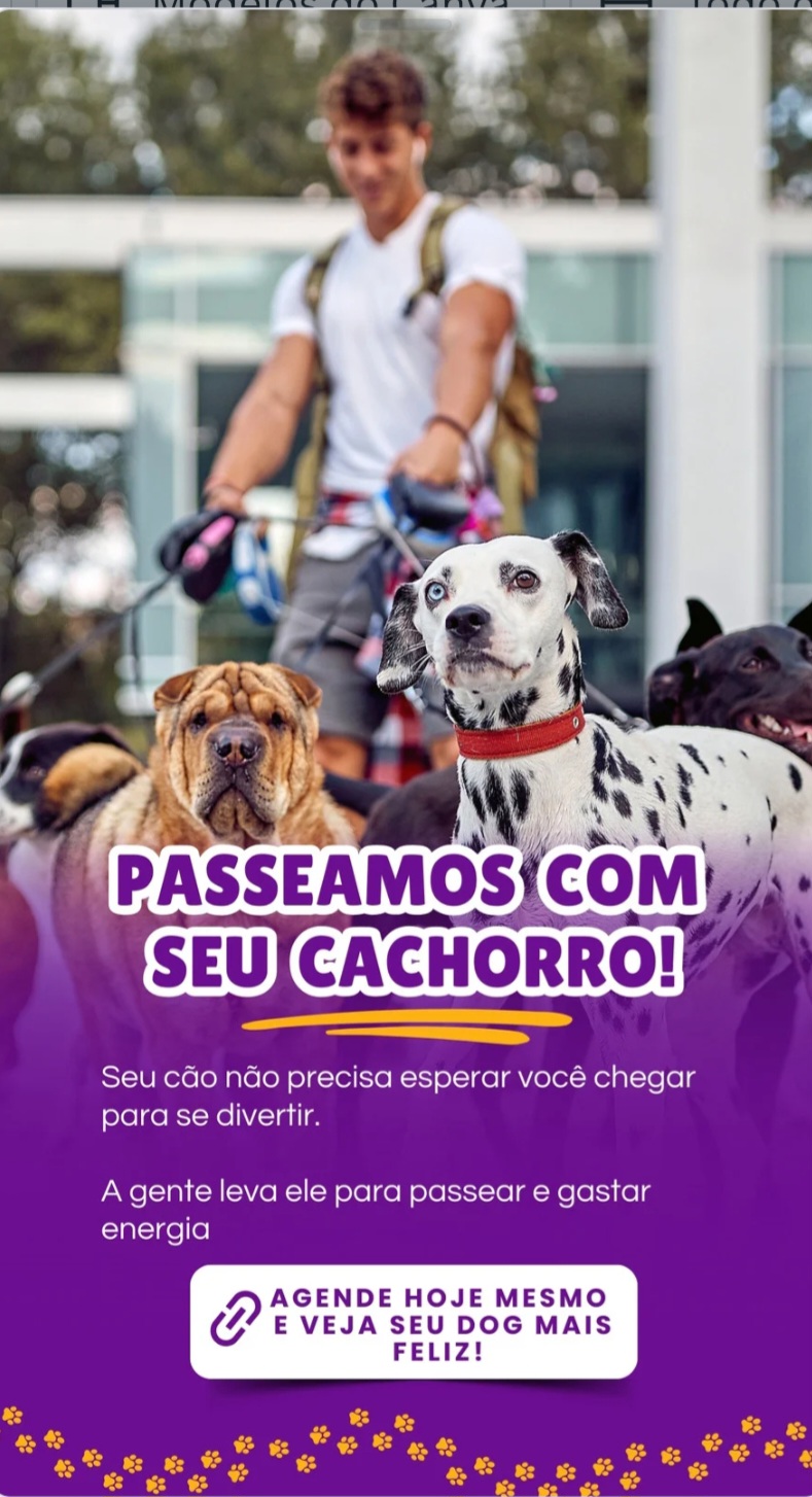Image of Larissa pet service in Brás Cubas, Sao Paulo, Brazil Image of Larissa pet service in Brás Cubas, Sao Paulo, Brazil