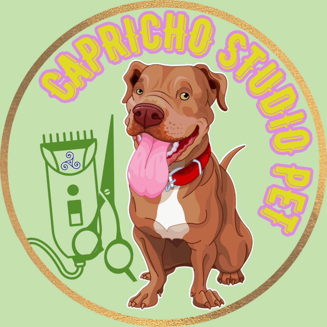 Image of Capricho studio pet service in São Paulo, Sao Paulo, Brazil Image of Capricho studio pet service in São Paulo, Sao Paulo, Brazil