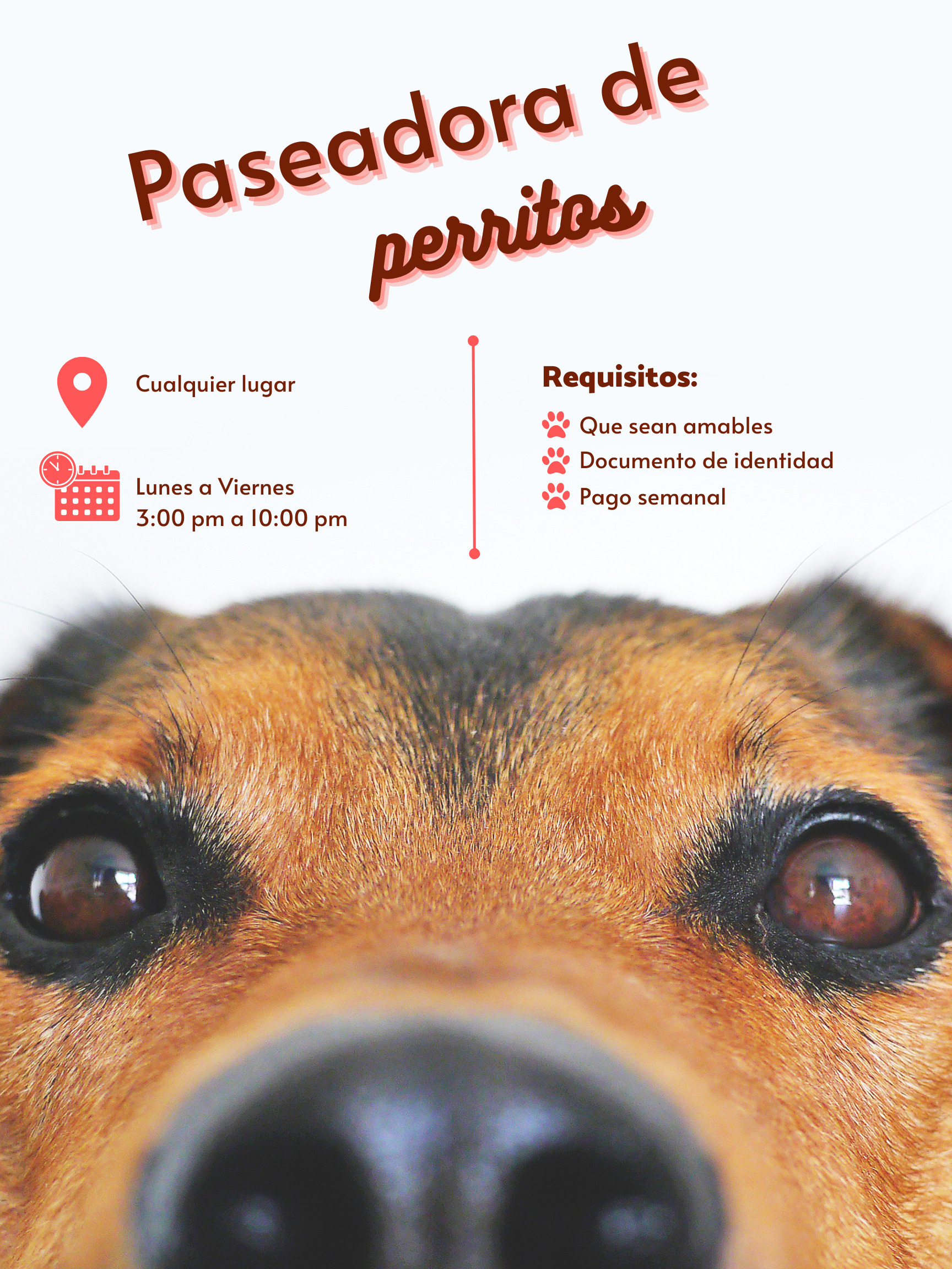 Image of Paseo Dog service in Mexico City, Ciudad de México, Mexico Image of Paseo Dog service in Mexico City, Ciudad de México, Mexico