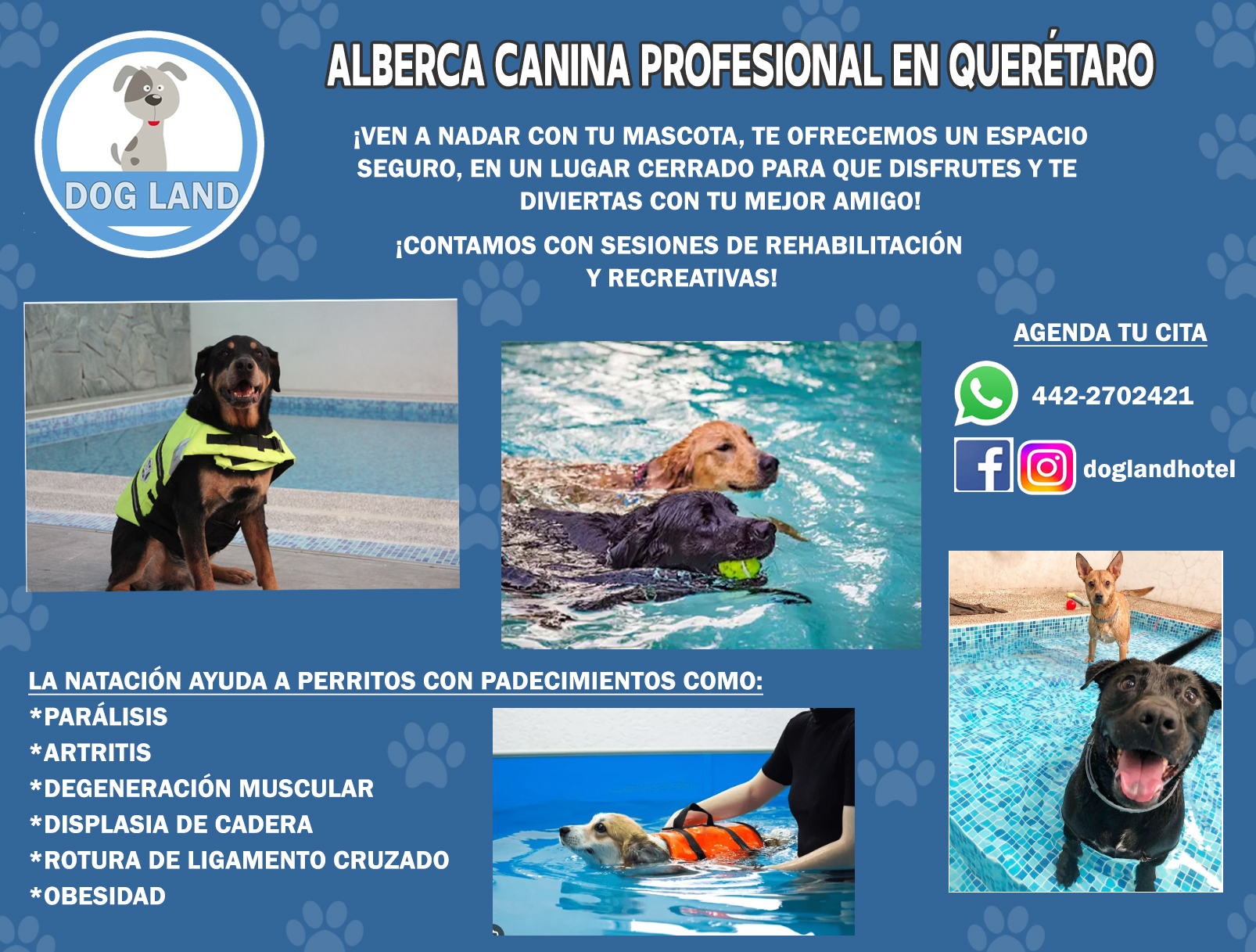 Feliz Día de la Amistad: 35 Frases y Tarjetas para Amiga o Amigo, image size:1606x1217