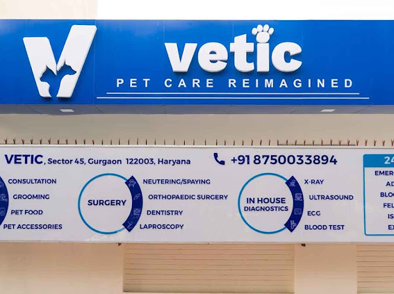 Image of Vetic Pet Clinic Sec-45 Gurgaon service in Gurgaon, Haryana, India Image of Vetic Pet Clinic Sec-45 Gurgaon service in Gurgaon, Haryana, India