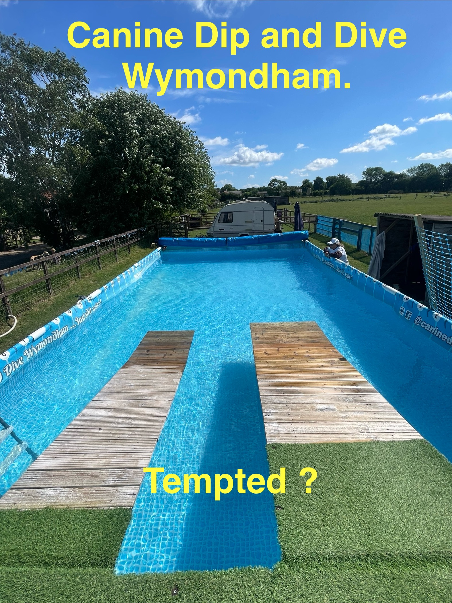 Image of Canine Dip and Dive Wymondham service in South Norfolk, England, United Kingdom Image of Canine Dip and Dive Wymondham service in South Norfolk, England, United Kingdom
