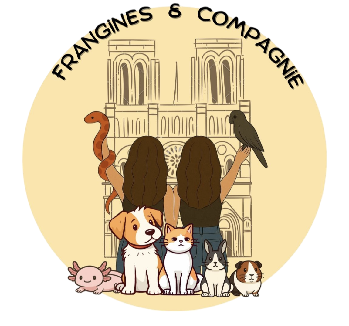 Image of Frangine & Compagnie service in Reims, Marne, France Image of Frangine & Compagnie service in Reims, Marne, France