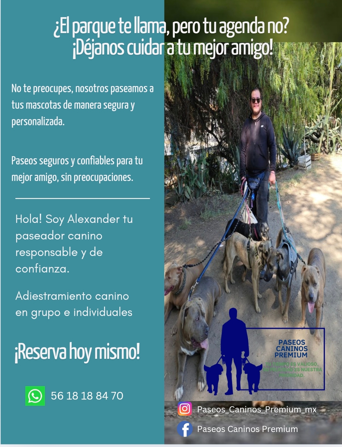 Image of Paseos Caninos Premium MX service in Tlalnepantla, Mexico, Mexico Image of Paseos Caninos Premium MX service in Tlalnepantla, Mexico, Mexico