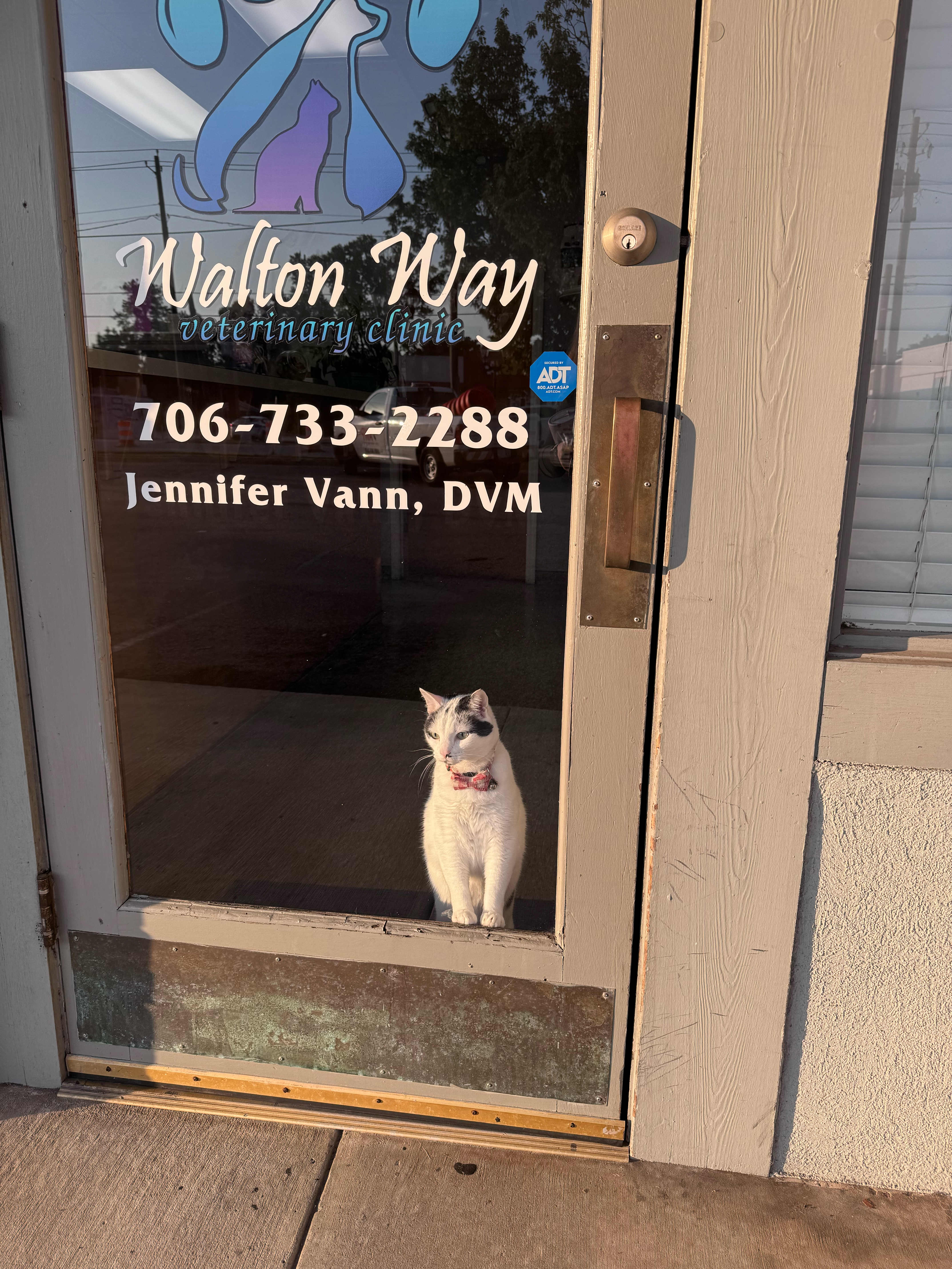 Image of Walton Way Vet Clinic service in Richmond County, Georgia, United States Image of Walton Way Vet Clinic service in Richmond County, Georgia, United States