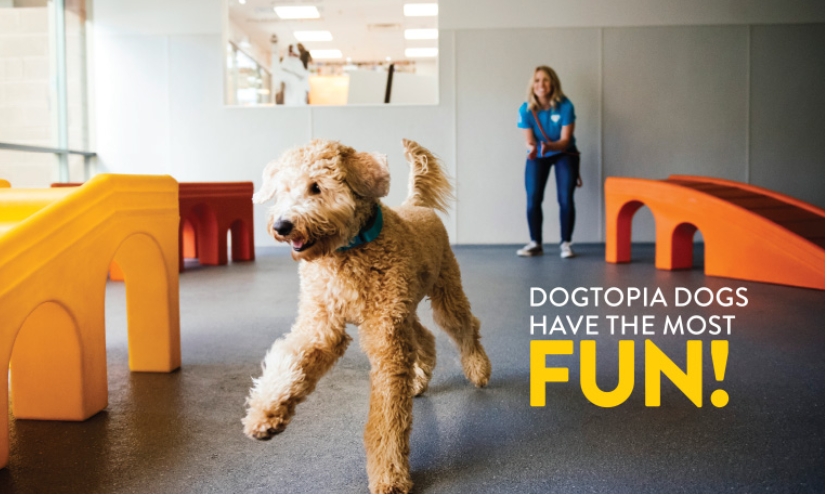 Image of Dogtopia NORTH ATTLEBORO service in North Attleborough, Massachusetts, United States Image of Dogtopia NORTH ATTLEBORO service in North Attleborough, Massachusetts, United States