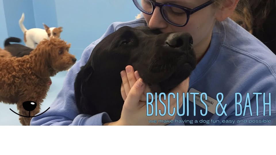 Image of Biscuits & Bath service in New York, New York, United States Image of Biscuits & Bath service in New York, New York, United States