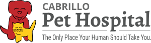 Image of South Orange County Animal Hospital service in Lake Forest, California, United States Image of South Orange County Animal Hospital service in Lake Forest, California, United States