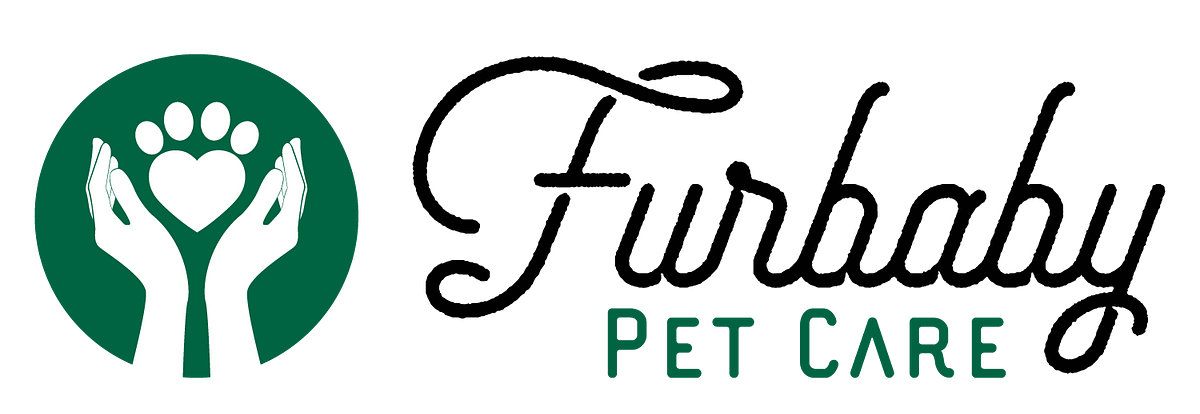 Image of Encore Dog Sports and Doggy Daycare service in Regina, Saskatchewan, Canada Image of Encore Dog Sports and Doggy Daycare service in Regina, Saskatchewan, Canada