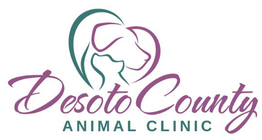 Image of Desoto County Animal Clinic - Formerly Brooks Road Animal Hospital service in Memphis, Tennessee, United States Image of Desoto County Animal Clinic - Formerly Brooks Road Animal Hospital service in Memphis, Tennessee, United States