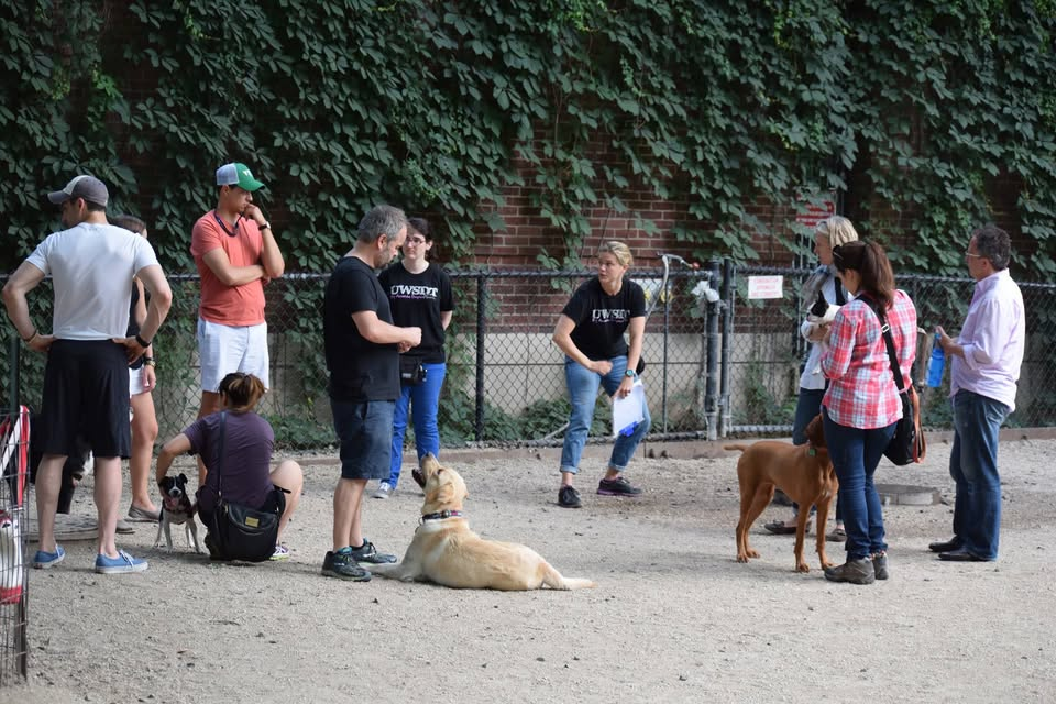 Image of Amanda Gagnon Dog Training -  113th St - New York service in New York, New York, United States Image of Amanda Gagnon Dog Training -  113th St - New York service in New York, New York, United States