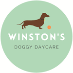 Image of Winstons Doggy Day Care Leith service in Edinburgh, Scotland, United Kingdom Image of Winstons Doggy Day Care Leith service in Edinburgh, Scotland, United Kingdom