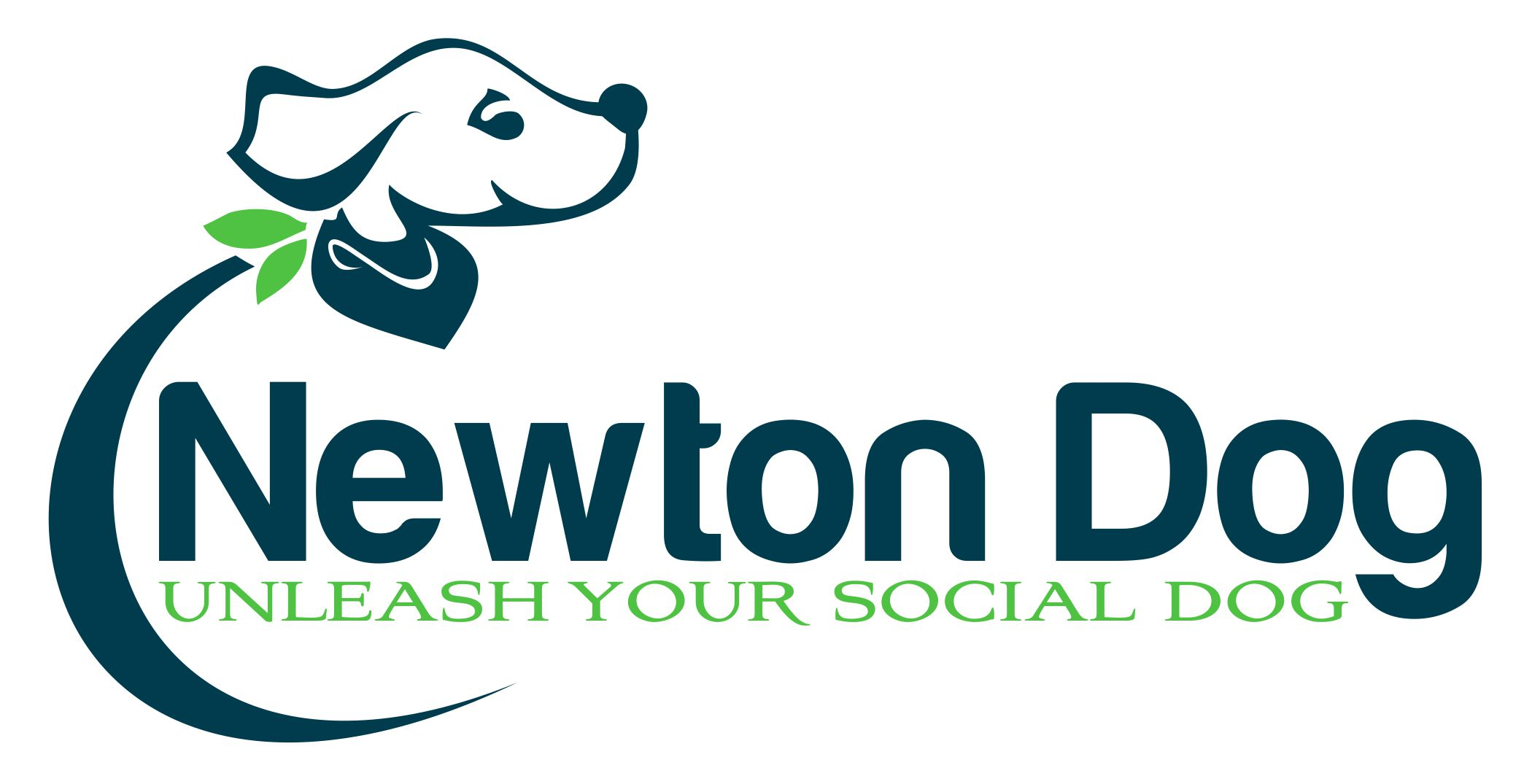 Image of Newton Dog Walking Inc service in Middlesex County, Massachusetts, United States Image of Newton Dog Walking Inc service in Middlesex County, Massachusetts, United States
