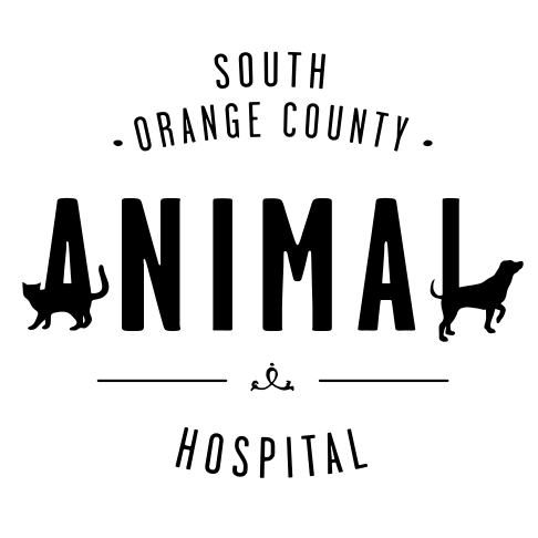 Image of South Orange County Animal Hospital service in Lake Forest, California, United States Image of South Orange County Animal Hospital service in Lake Forest, California, United States