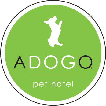 Image of ADOGO pet hotel MSP Airport service in Hennepin County, Minnesota, United States Image of ADOGO pet hotel MSP Airport service in Hennepin County, Minnesota, United States