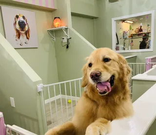 Image of Bones Bath & Beyond service in Merrick, New York, United States Image of Bones Bath & Beyond service in Merrick, New York, United States