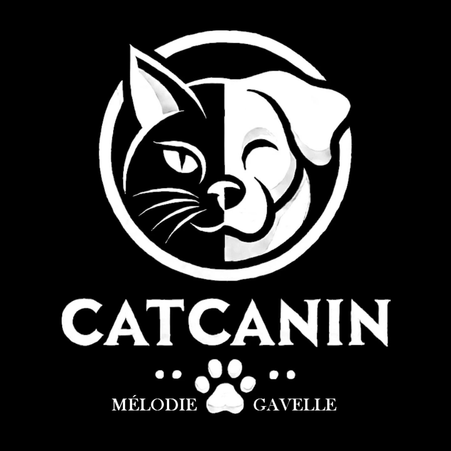 Image of CATCANIN service in Faches-Thumesnil, Upper France, France Image of CATCANIN service in Faches-Thumesnil, Upper France, France