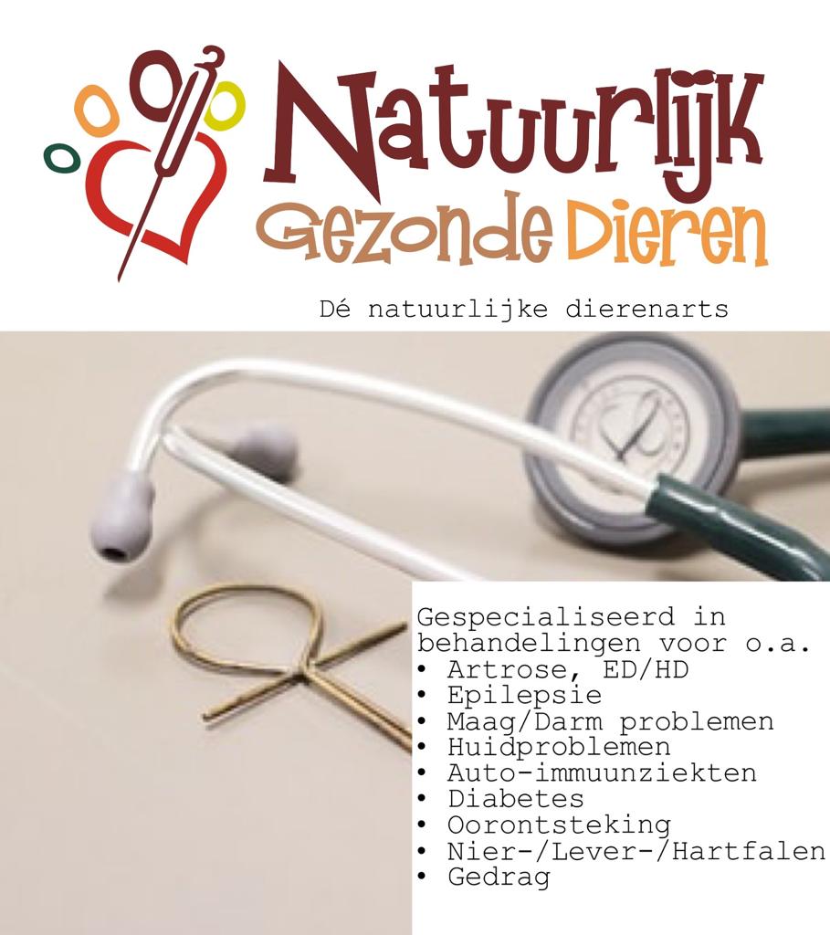 Image of Natuurlijk Gezonde Dieren service in Amsterdam, North Holland, Netherlands Image of Natuurlijk Gezonde Dieren service in Amsterdam, North Holland, Netherlands