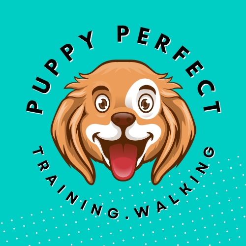Image of Puppy Perfect service in Dungannon, Northern Ireland, United Kingdom Image of Puppy Perfect service in Dungannon, Northern Ireland, United Kingdom