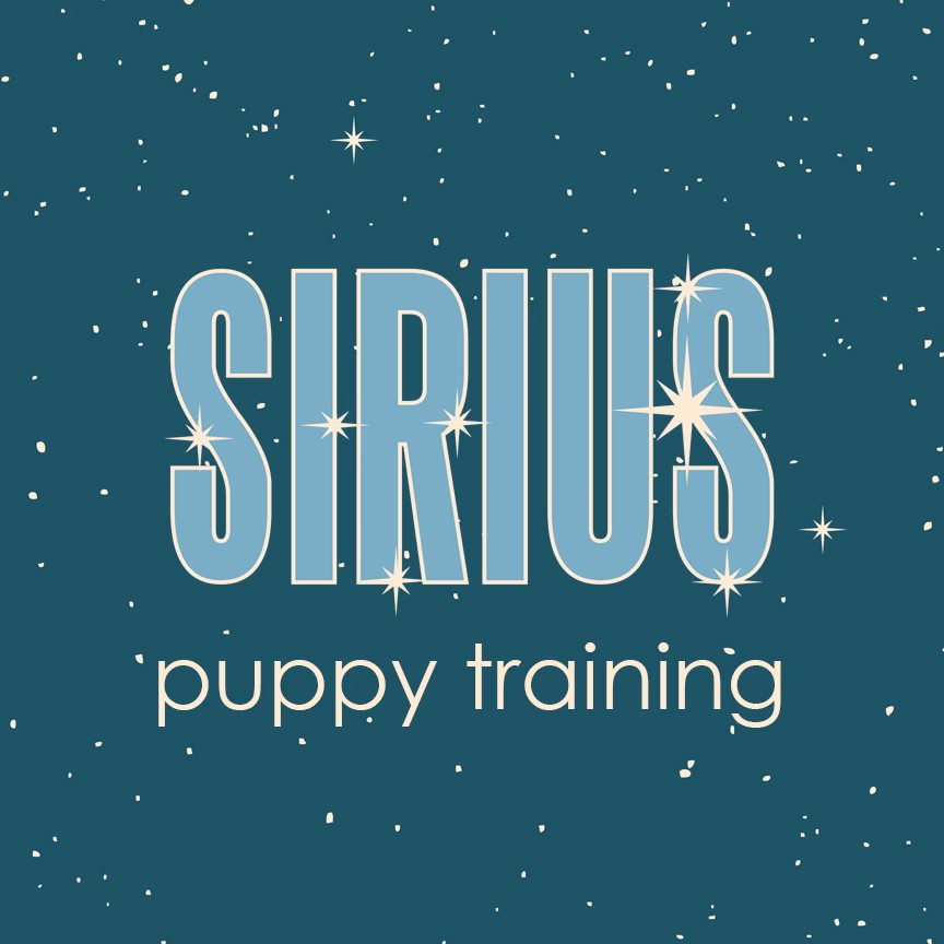 Image of SIRIUS Puppy Training - Campbell service in Campbell, California, United States Image of SIRIUS Puppy Training - Campbell service in Campbell, California, United States