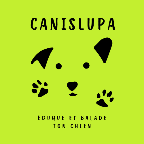 Image of Canislupa éducation canine service in Saint-Etienne, Loire, France Image of Canislupa éducation canine service in Saint-Etienne, Loire, France