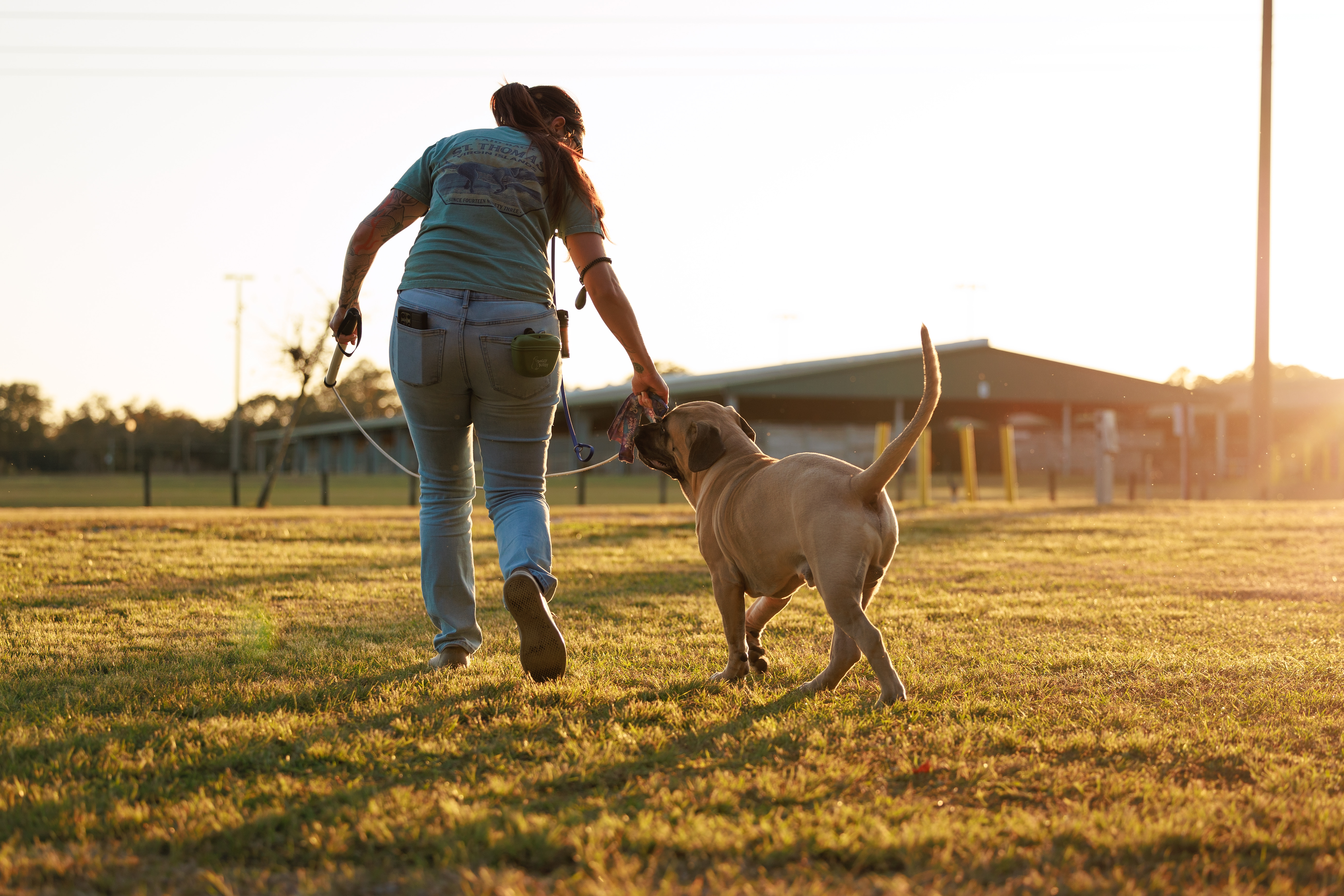 Image of ALPHAcademy Dog Training LLC service in Gig Harbor, Washington, United States Image of ALPHAcademy Dog Training LLC service in Gig Harbor, Washington, United States