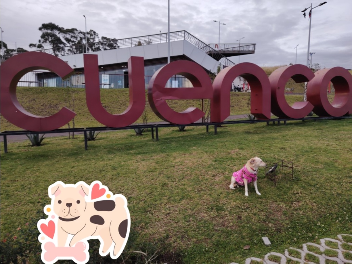 Image of Parque de la Luz park in cuenca, azuay, ecuador