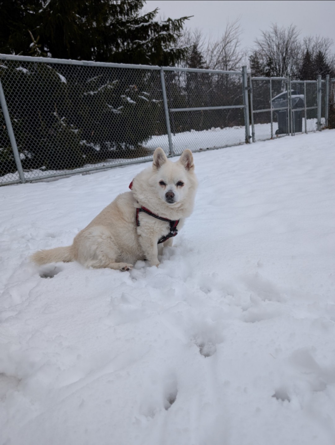 Image of Garnetwood Park park in mississauga, ontario, canada