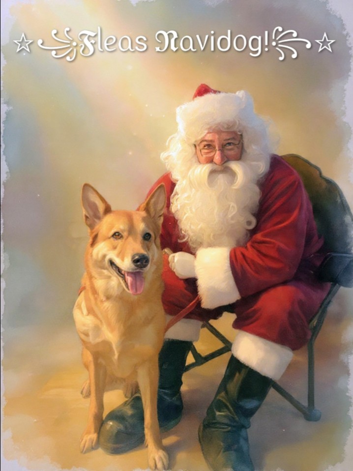 Image of Totoredaca Leash-Free Dog Park park in mississauga, ontario, canada