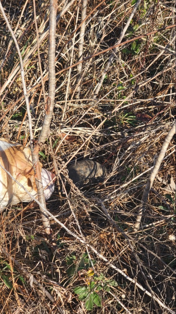 Image of Baseline Road Trailhead park in ocala, florida, united-states
