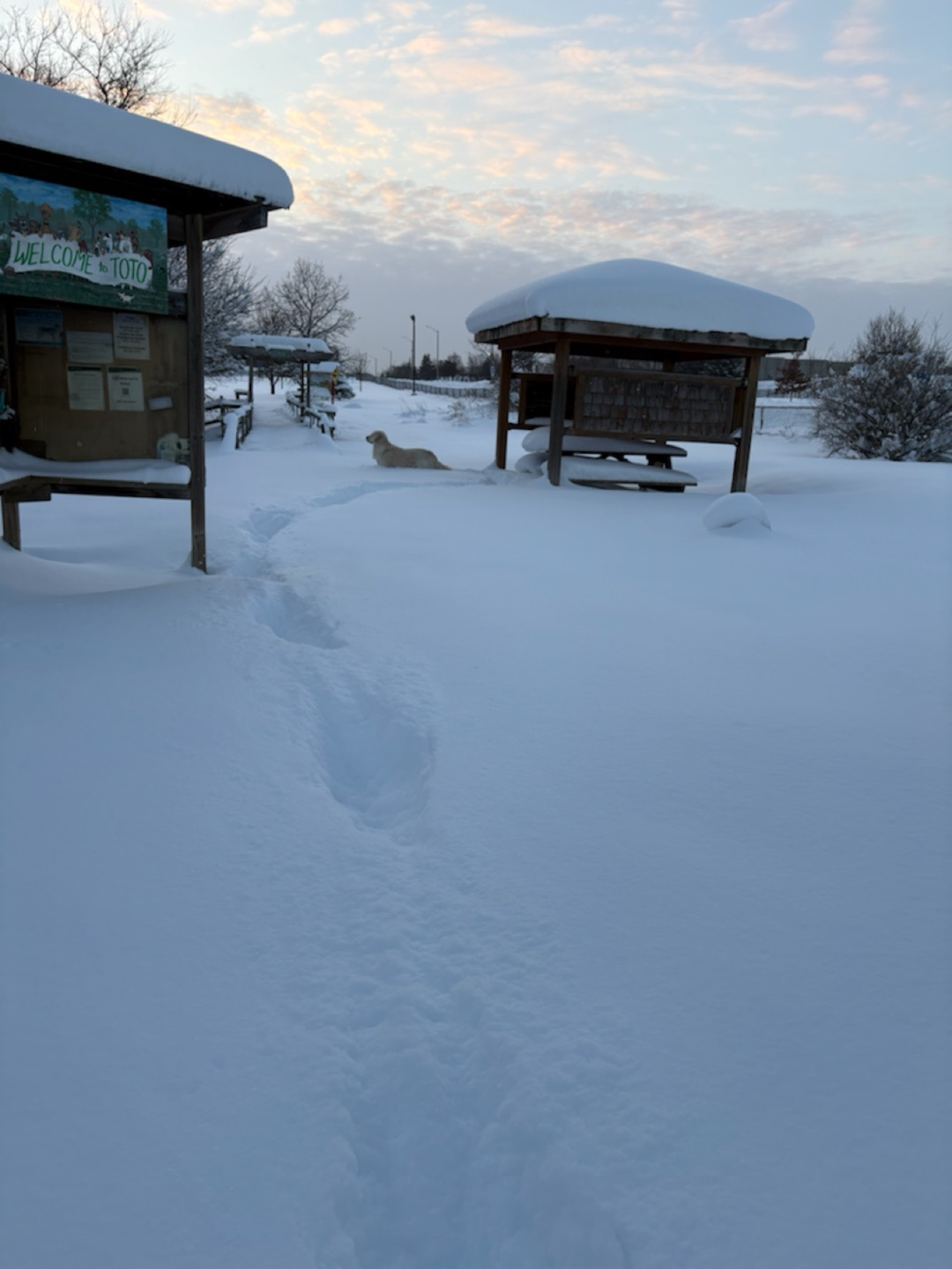 Image of Totoredaca Leash-Free Dog Park park in mississauga, ontario, canada