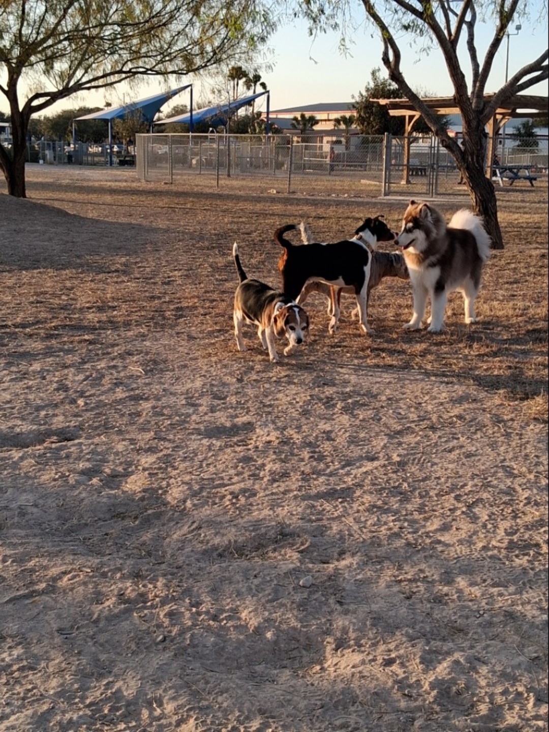 Image of Banworth Dog Park park in mission, texas, united-states