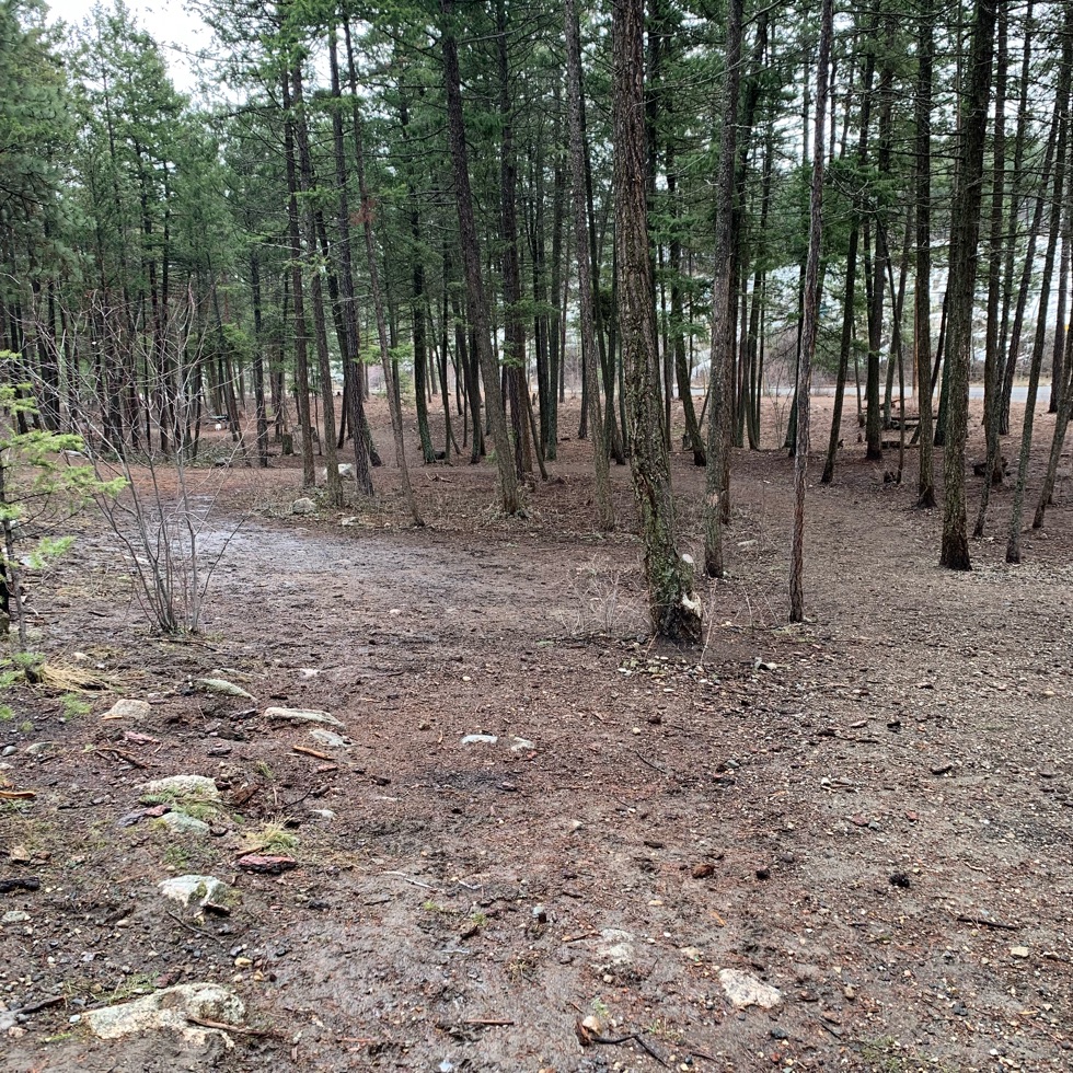 Lake Country Dog Park DogPack