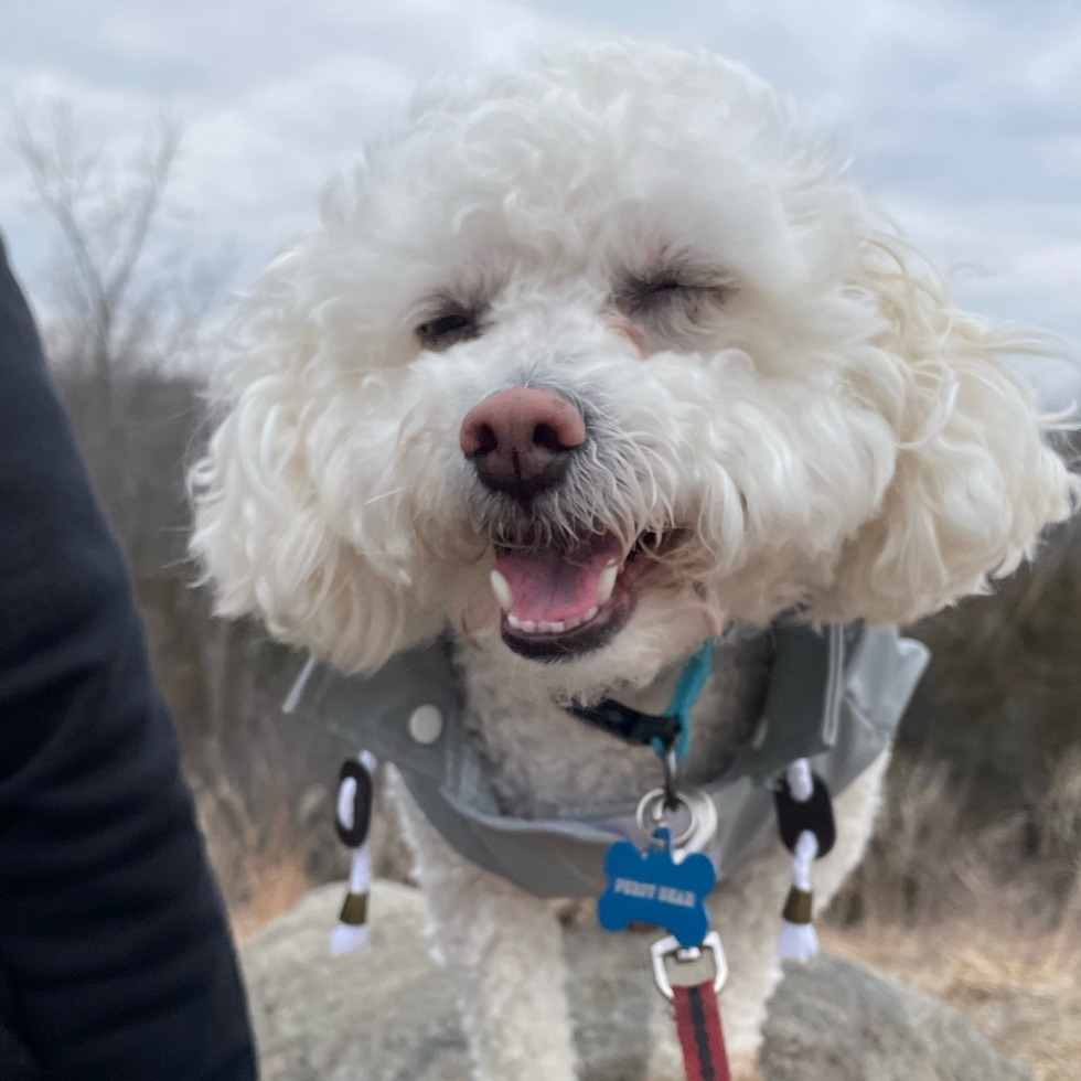 Granville Dog Park DogPack