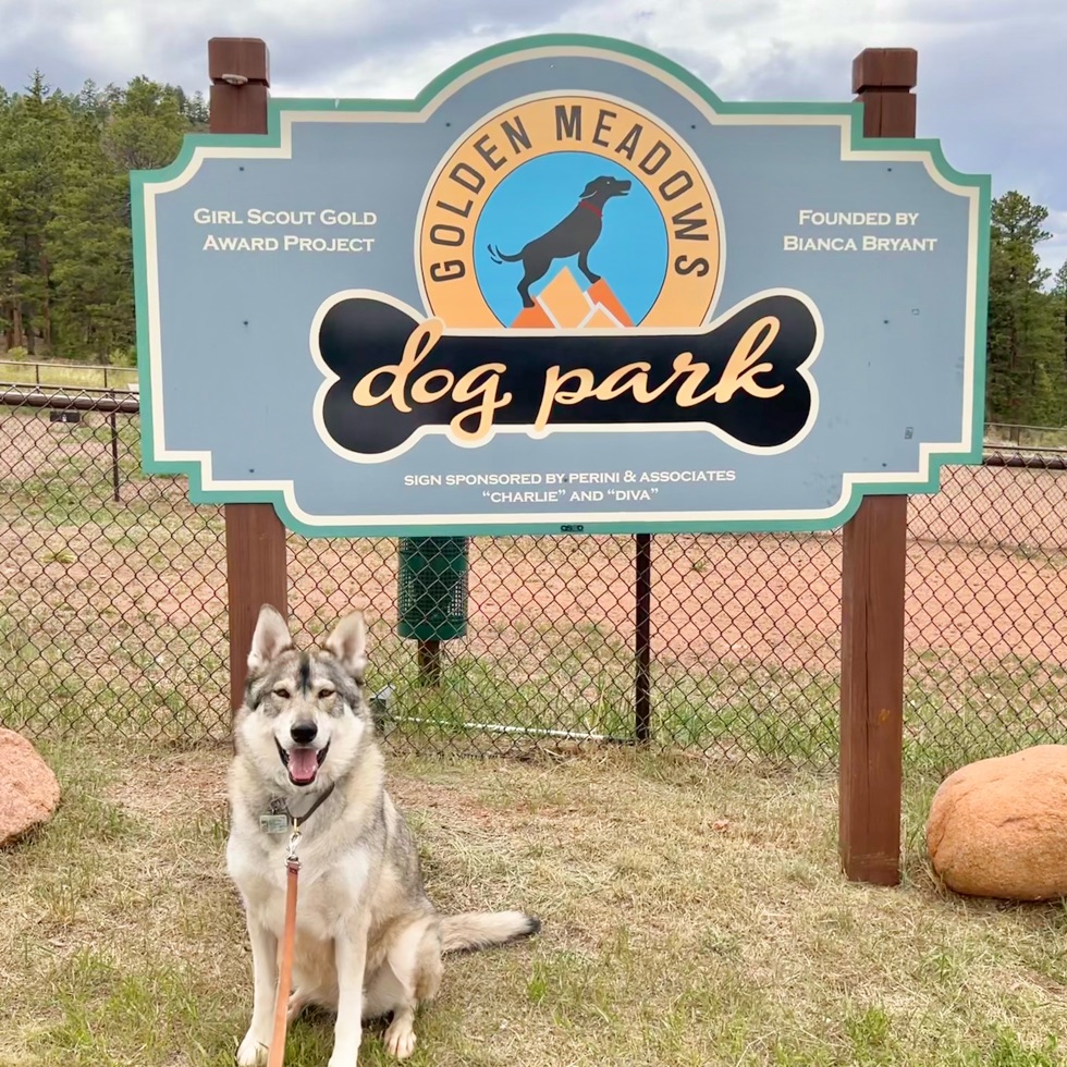 Golden Meadows Dog Park DogPack