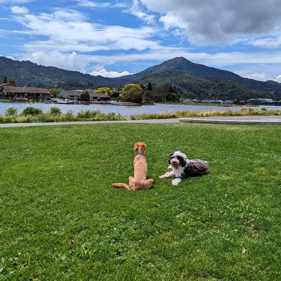 Laderman Ln Park | DogPack