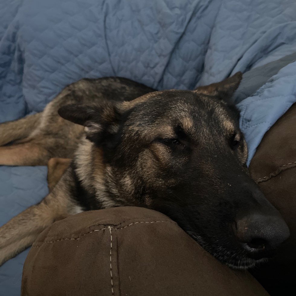 Plumb Creek Dog Park DogPack