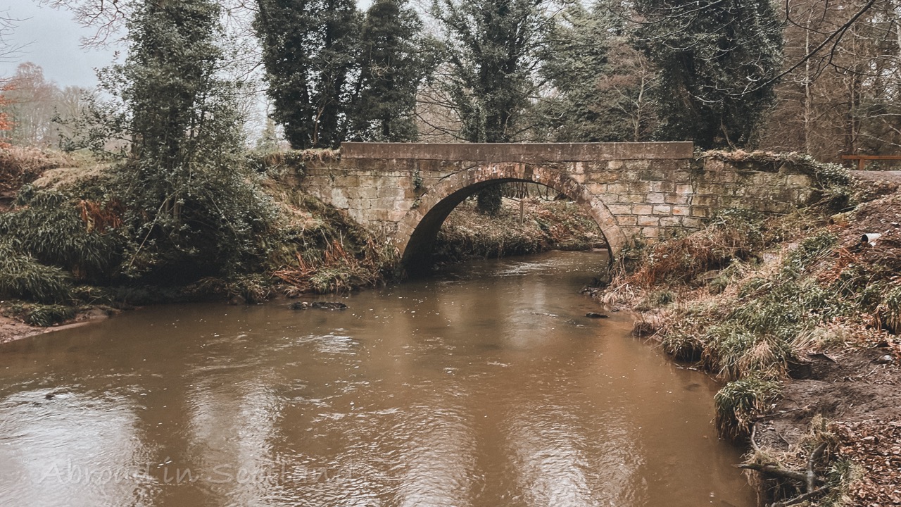 Douglas Dog Park DogPack