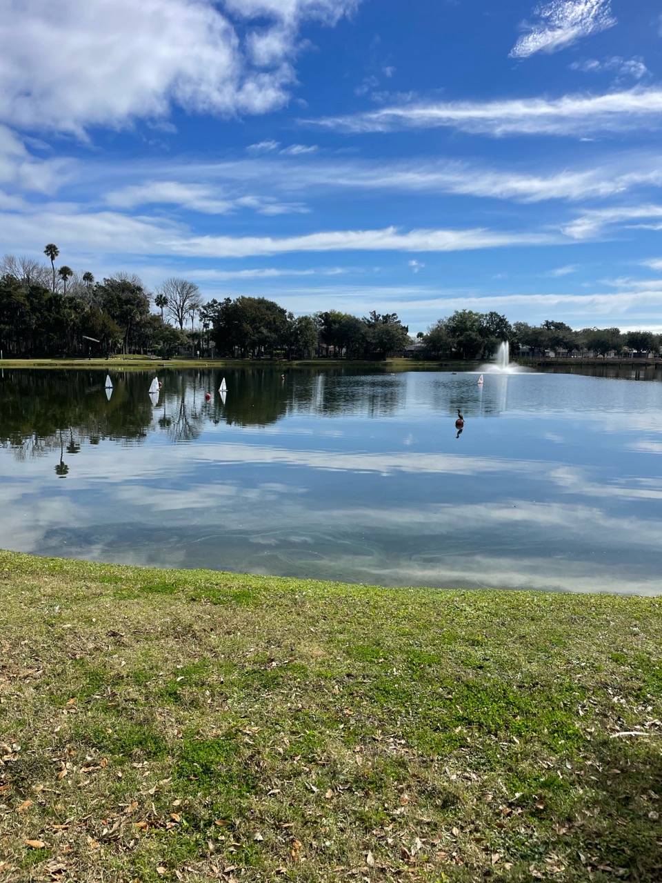 Manatee Plaza DogPack